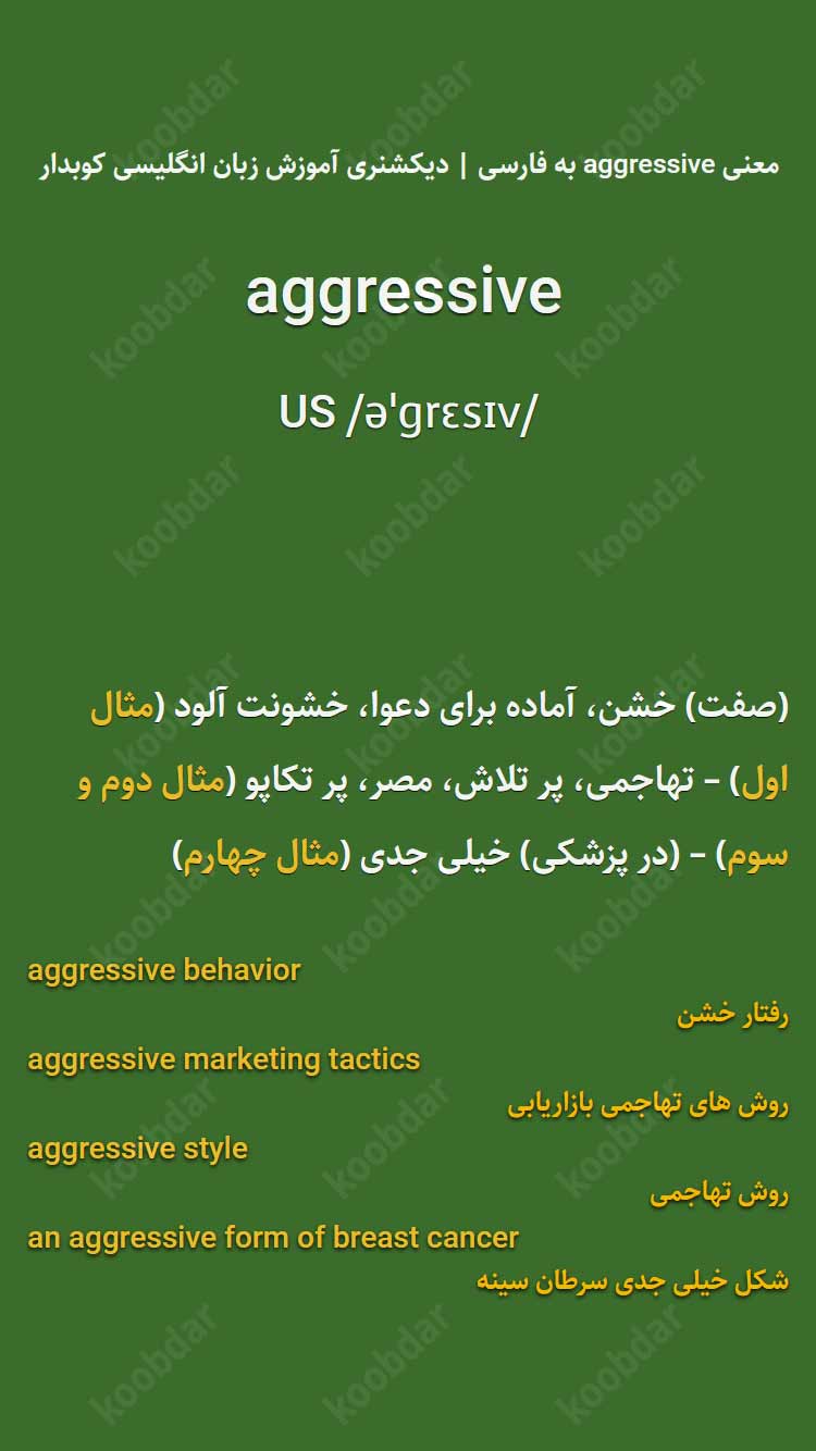 معنی aggressive به فارسی